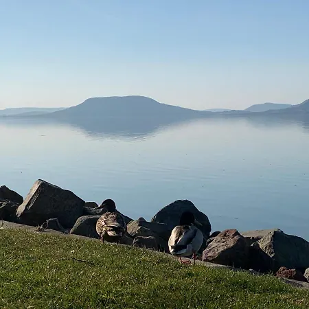 Happy Boglar Apartment *